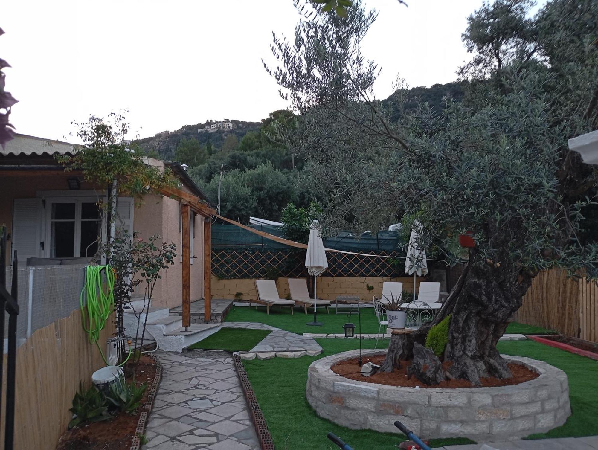 Olive Tree Holiday home *