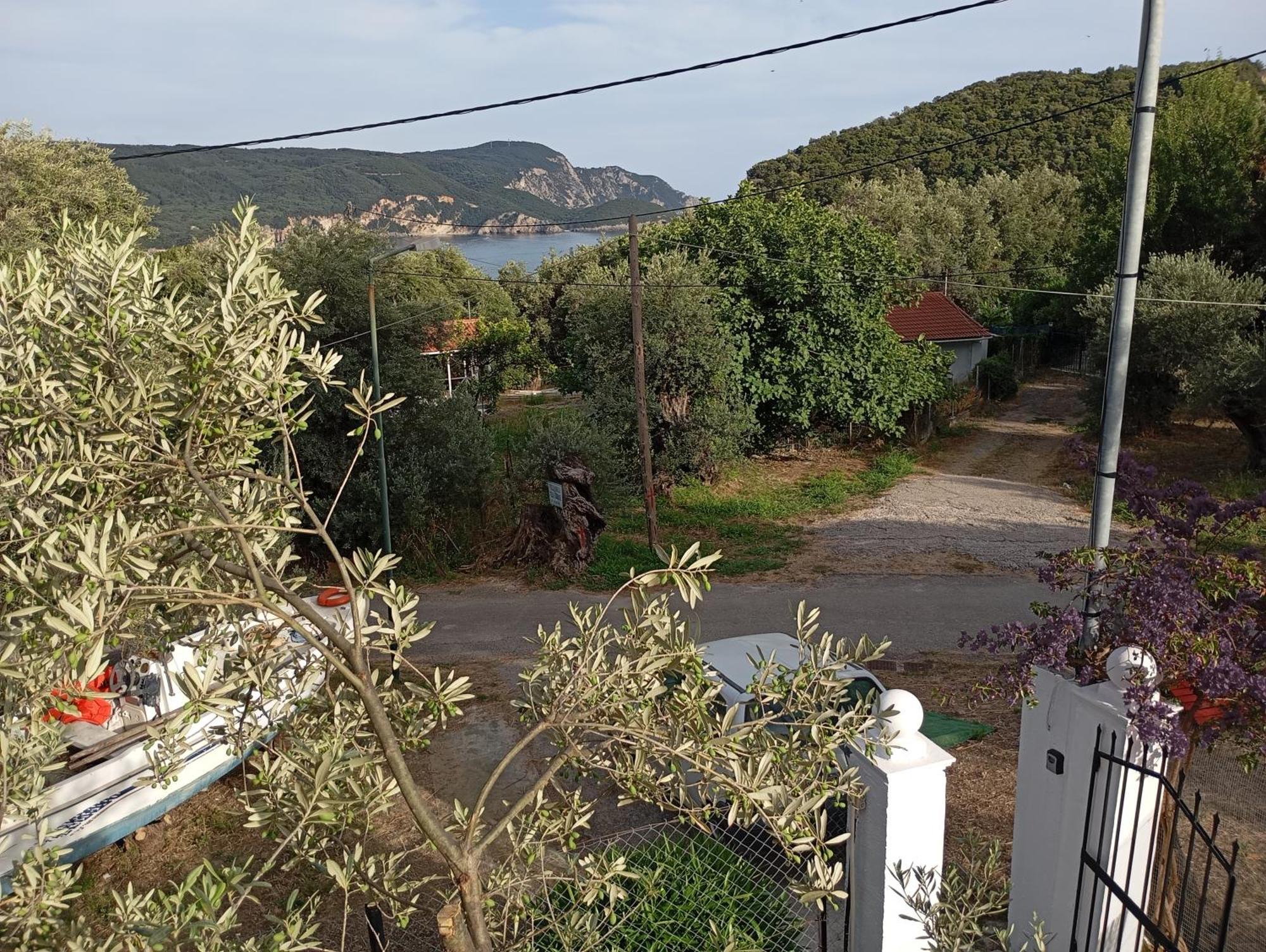 Olive Tree Holiday home Paleokastritsa